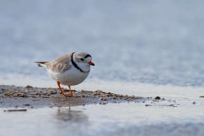 D开奖结果最新公布：中奖号码与幸运得主揭晓