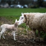 银河电子老虎机带你穿越星际海域探索财富与惊喜的旅程 6q8t9