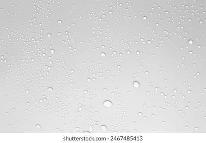 D开奖时刻：万众瞩目的幸运揭晓瞬间