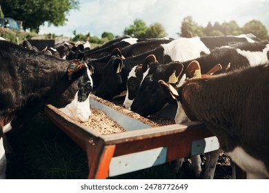 银河澳门注册流程详解与注意事项大全