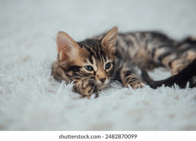 韦德娱乐:探索全新在线娱乐平台的魅力与乐趣